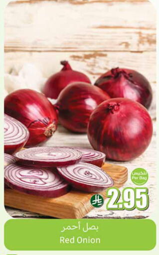 Onion available at Othaim Markets in KSA, Saudi Arabia, Saudi - Al Khobar
