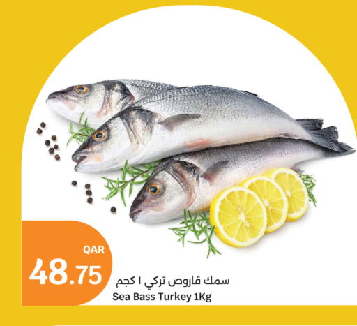 available at سيتي هايبرماركت in قطر - الريان