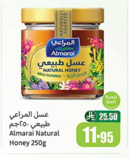 ALMARAI Honey available at Othaim Markets in KSA, Saudi Arabia, Saudi - Jeddah