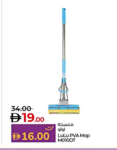 Cleaning Aid available at Lulu Hypermarket in UAE - Dubai