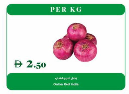 Onion from India available at Trolleys Supermarket in UAE - Dubai