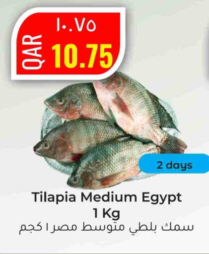 available at Rambo Mart in Qatar - Doha