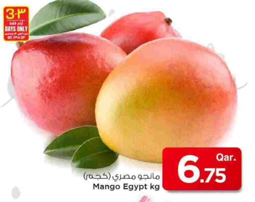 مانغو مانجو from Egypt available at مارك & سيف in قطر - الشحانية