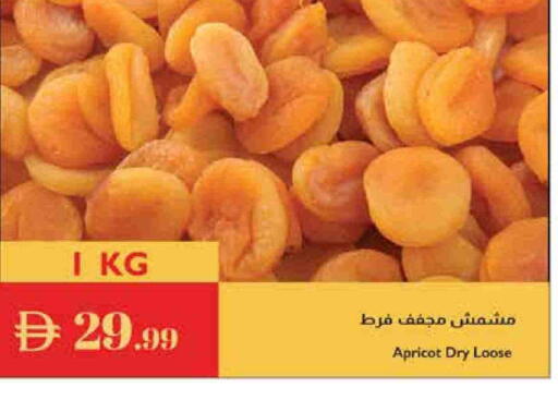 Apricot available at إسطنبول سوبرماركت in الإمارات العربية المتحدة , الامارات - رَأْس ٱلْخَيْمَة