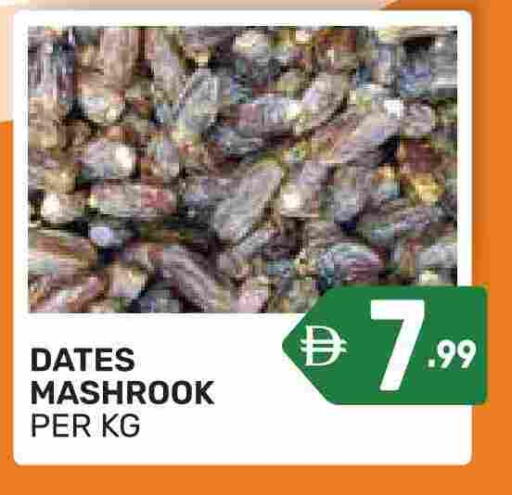 available at دريم نايت هايبرماركت in الإمارات العربية المتحدة , الامارات - دبي