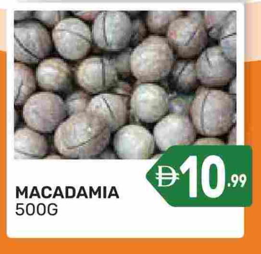 available at دريم نايت هايبرماركت in الإمارات العربية المتحدة , الامارات - دبي