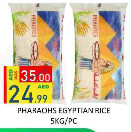 Calrose Rice available at LULU Hypermarket in KSA, Saudi Arabia, Saudi - Al-Kharj