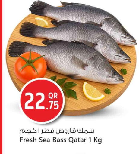 available at Safari Hypermarket in Qatar - Doha