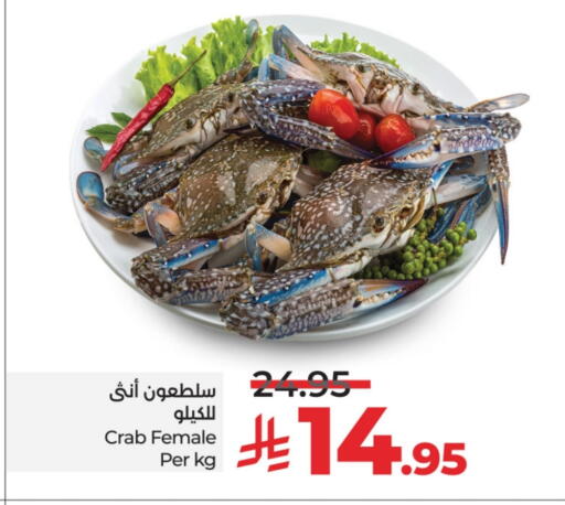 available at لولو هايبرماركت in مملكة العربية السعودية, السعودية, سعودية - تبوك