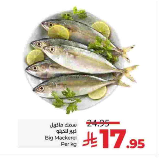 available at لولو هايبرماركت in مملكة العربية السعودية, السعودية, سعودية - جدة