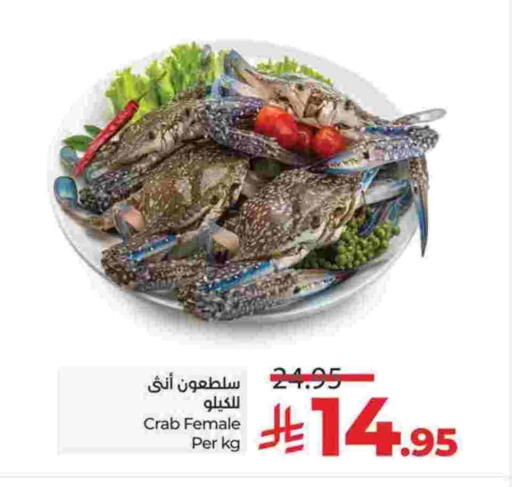 available at لولو هايبرماركت in مملكة العربية السعودية, السعودية, سعودية - تبوك