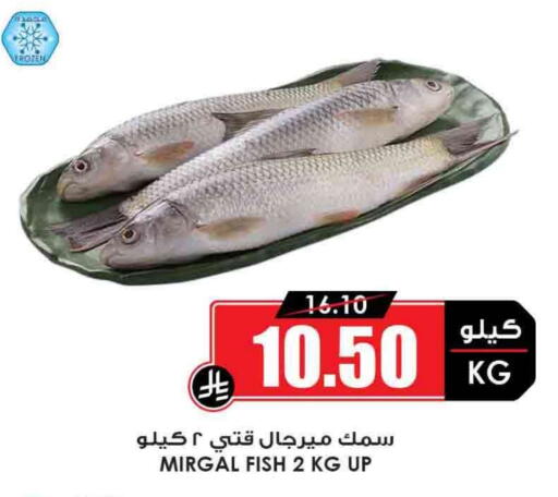 available at أسواق النخبة in مملكة العربية السعودية, السعودية, سعودية - الخرج