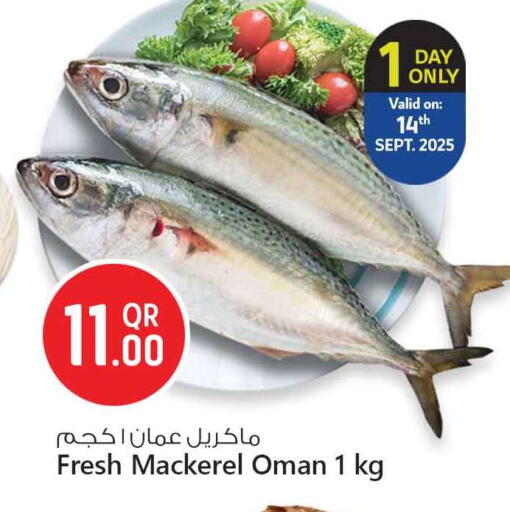 available at Safari Hypermarket in Qatar - Doha