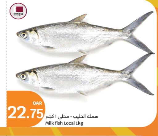 available at City Hypermarket in Qatar - Doha