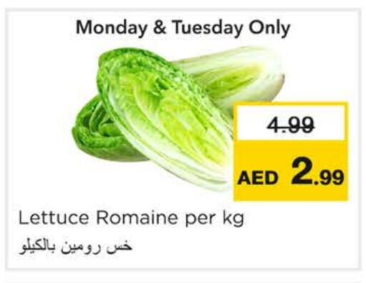 Lettuce available at نستو هايبرماركت in الإمارات العربية المتحدة , الامارات - رَأْس ٱلْخَيْمَة