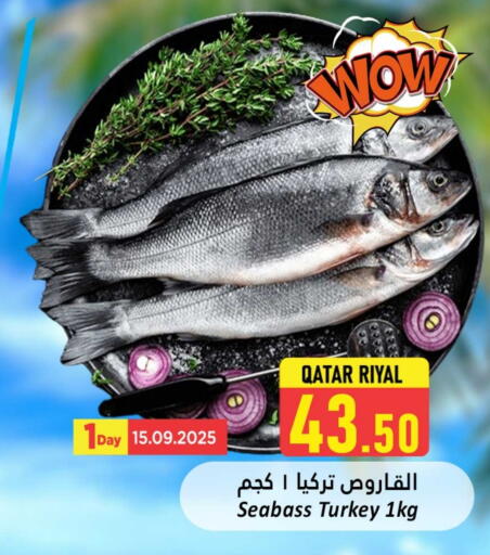 available at دانة هايبرماركت in قطر - الشمال