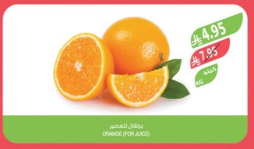 برتقال available at المزرعة in مملكة العربية السعودية, السعودية, سعودية - سكاكا