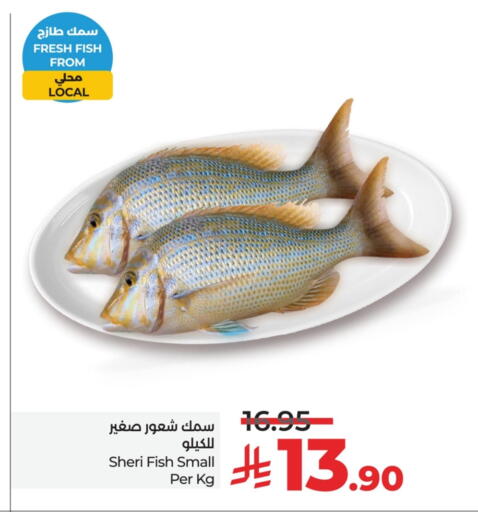 available at لولو هايبرماركت in مملكة العربية السعودية, السعودية, سعودية - الخبر‎
