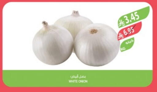White Onion available at Farm  in KSA, Saudi Arabia, Saudi - Al Khobar