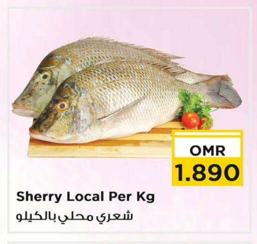 available at نستو هايبر ماركت in عُمان - مسقط‎