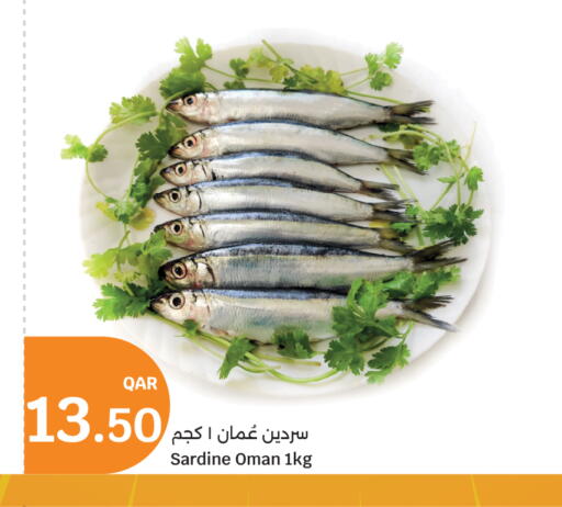 available at سيتي هايبرماركت in قطر - الشمال