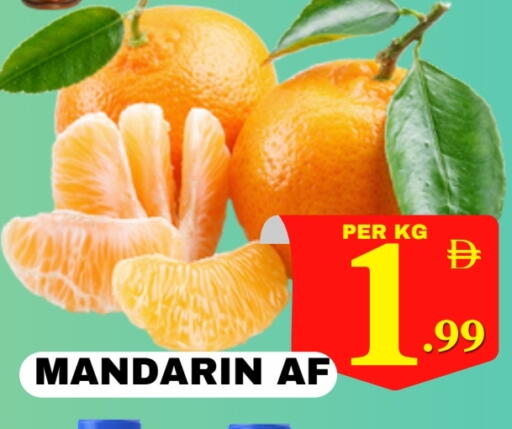 برتقال available at مركز نيو داي in الإمارات العربية المتحدة , الامارات - دبي