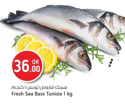 available at Safari Hypermarket in Qatar - Doha