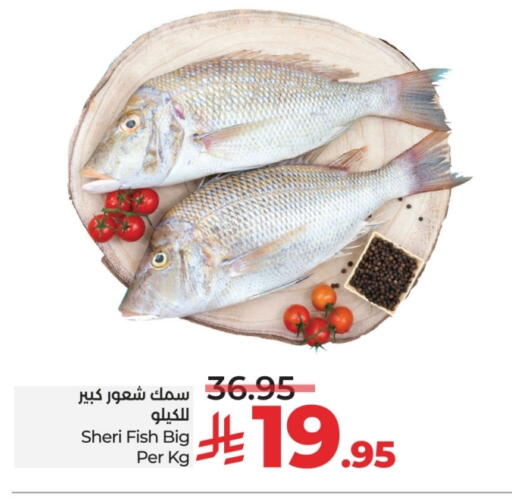 available at لولو هايبرماركت in مملكة العربية السعودية, السعودية, سعودية - جدة