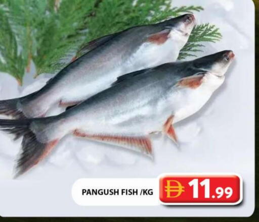 available at جراند هايبر ماركت in الإمارات العربية المتحدة , الامارات - دبي