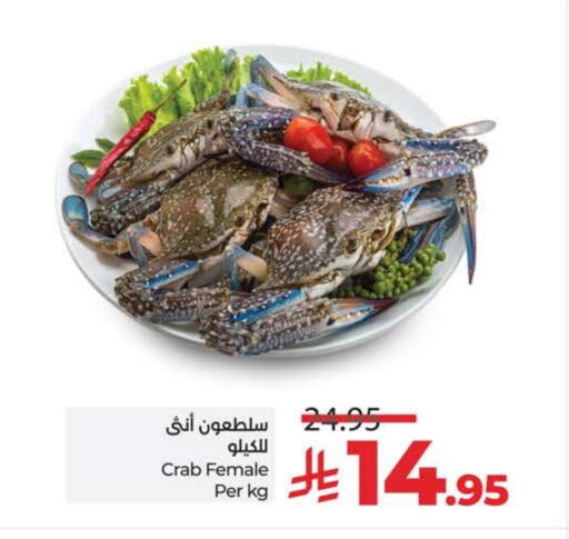 available at لولو هايبرماركت in مملكة العربية السعودية, السعودية, سعودية - تبوك