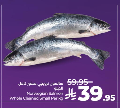 available at لولو هايبرماركت in مملكة العربية السعودية, السعودية, سعودية - تبوك