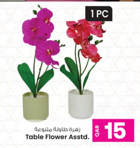 available at أنصار جاليري in قطر - الشحانية