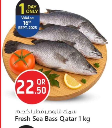 available at Safari Hypermarket in Qatar - Doha