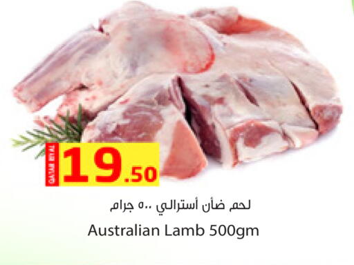 لحم الضأن / الغنم available at دانة هايبرماركت in قطر - الدوحة