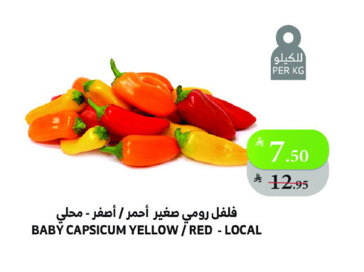 Chilli / Capsicum available at Al Raya in KSA, Saudi Arabia, Saudi - Jeddah