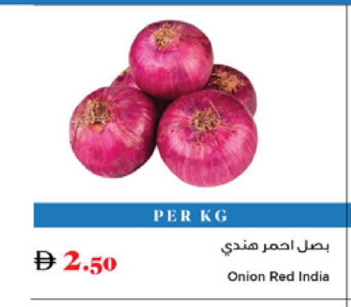 Onion from India available at Trolleys Supermarket in UAE - Dubai