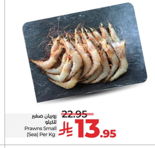 available at لولو هايبرماركت in مملكة العربية السعودية, السعودية, سعودية - تبوك