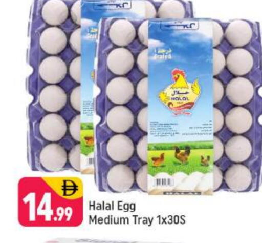 available at Shaklan  in UAE - Dubai
