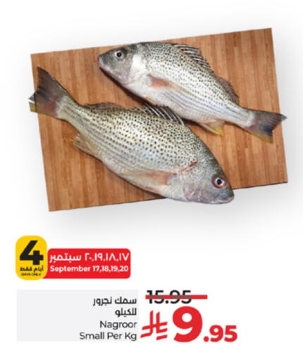 available at لولو هايبرماركت in مملكة العربية السعودية, السعودية, سعودية - تبوك