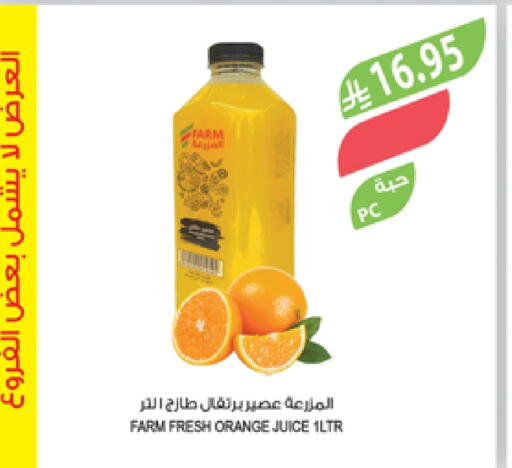 Orange available at المزرعة in مملكة العربية السعودية, السعودية, سعودية - تبوك