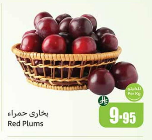 Plums available at Othaim Markets in KSA, Saudi Arabia, Saudi - Sakaka