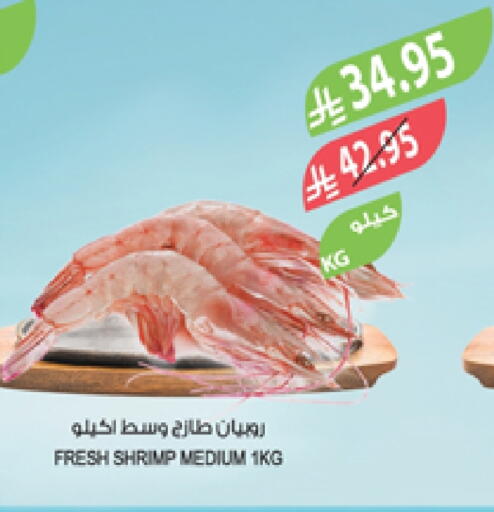available at المزرعة in مملكة العربية السعودية, السعودية, سعودية - تبوك