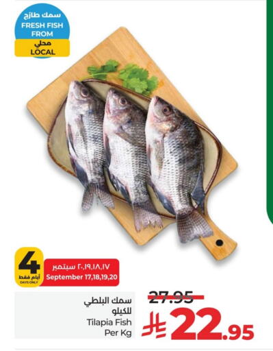 available at لولو هايبرماركت in مملكة العربية السعودية, السعودية, سعودية - الخبر‎