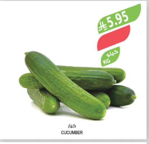 خيار available at المزرعة in مملكة العربية السعودية, السعودية, سعودية - الخبر‎