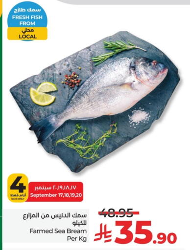 available at لولو هايبرماركت in مملكة العربية السعودية, السعودية, سعودية - الخبر‎