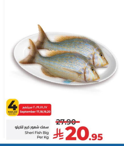 available at لولو هايبرماركت in مملكة العربية السعودية, السعودية, سعودية - الخرج
