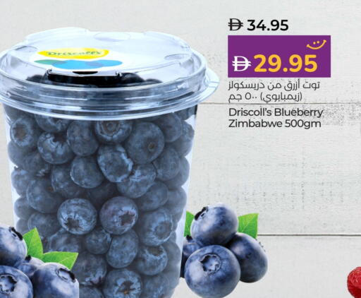 Berries from Zimbabwe available at Lulu Hypermarket in UAE - Dubai