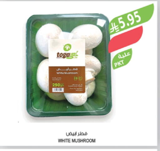 Mushroom available at Farm  in KSA, Saudi Arabia, Saudi - Sakaka