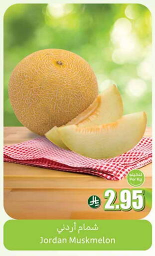 available at أسواق عبد الله العثيم in مملكة العربية السعودية, السعودية, سعودية - تبوك
