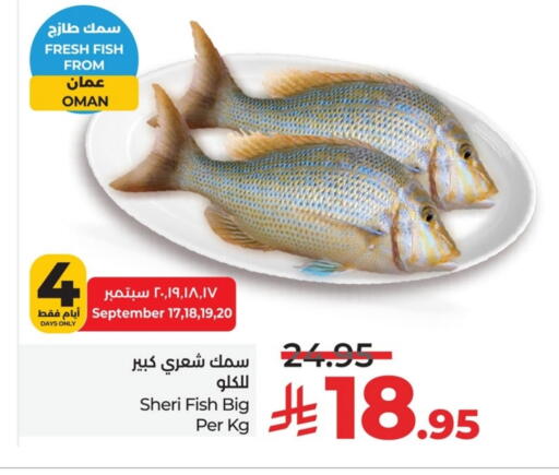 available at لولو هايبرماركت in مملكة العربية السعودية, السعودية, سعودية - الخبر‎